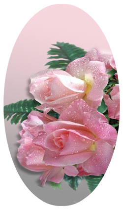 DNSBLUF 064 Bouquet Of Roses Pink